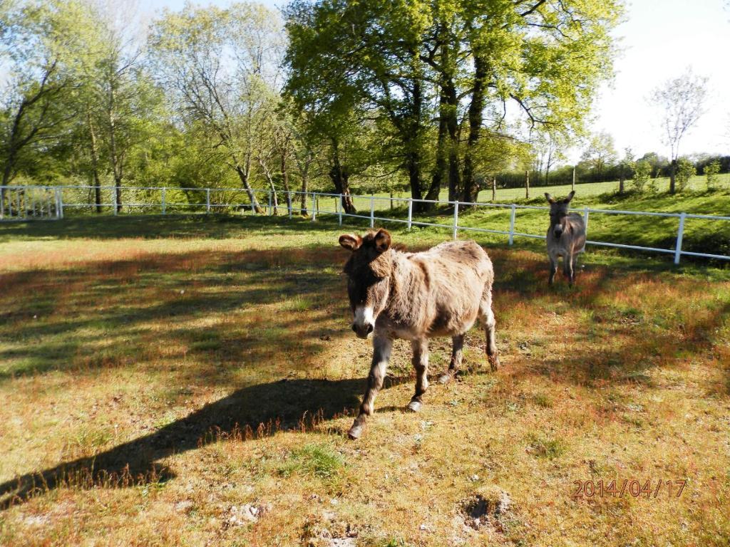 Domaine De Varenne Panzió Saint-Amand-en-Puisaye Kültér fotó