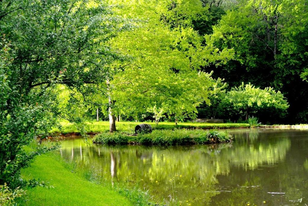 Domaine De Varenne Panzió Saint-Amand-en-Puisaye Kültér fotó